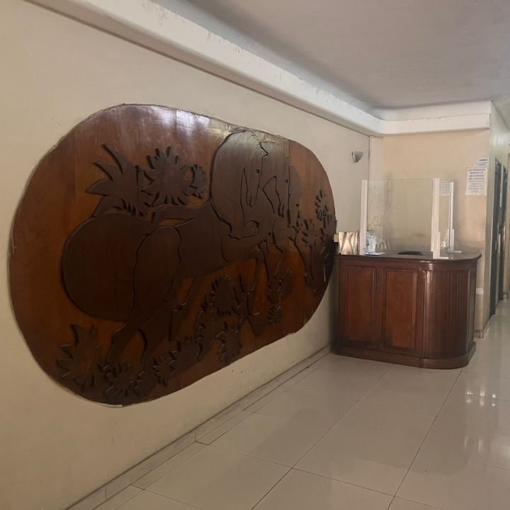 Recepción de IMAG Centro Estético